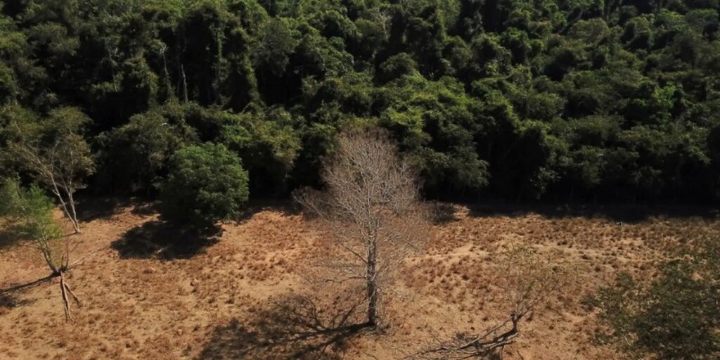 2023-01-04t011928z_1_lynxmpej0300u_rtroptp_3_brazil-environment.jpg