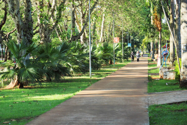 AVENIDA PARANA