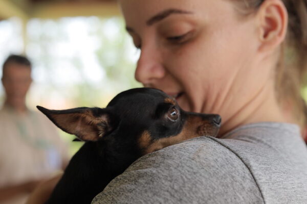 PET