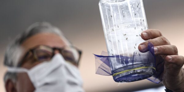 aedes-wolbachia-wolbito-mc_abr_09092025-8.jpg