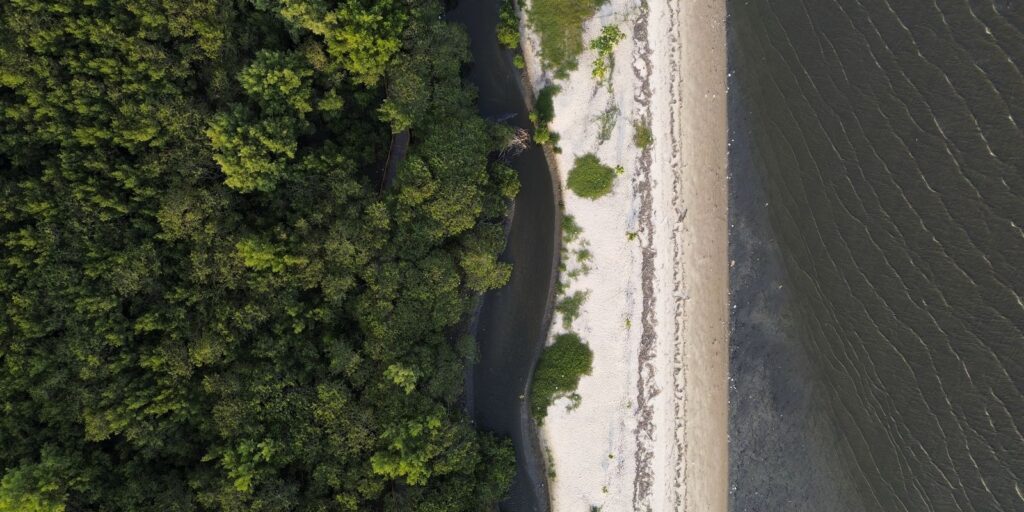 dji_0102-2_0.jpg