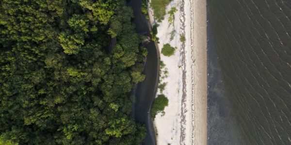 dji_0102-2_0.jpg