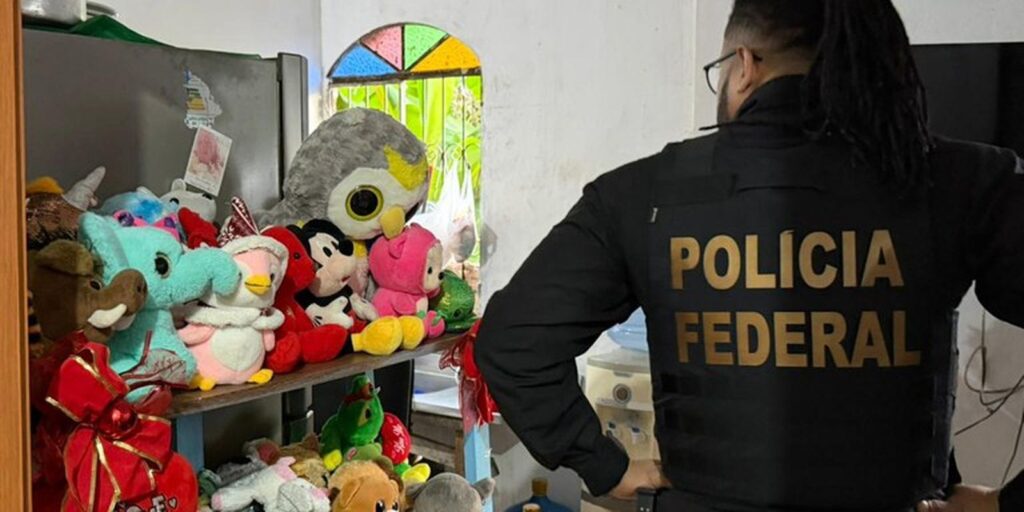 operacaopfabuso.jpeg