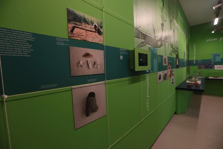 Paulo Pinto/Agência Brasil São Paulo (SP), 05/11/2025 - Exposição