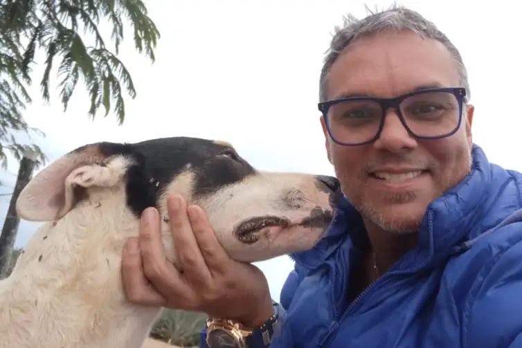 Rio de Janeiro (RJ), 29/12/2025 - Fogos de artifício acarretam sofrimento físico, pavor e risco real de acidentes para os animais. Diogo Alves. Foto: Diogo Alves/Arquivo Pessoal