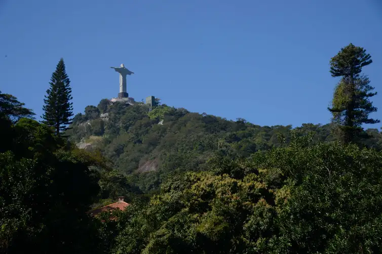 Rio de Janeiro - Cristo Redentor visto do Parque Nacional da Tijuca, durante mutirão de plantio de mudas de espécies nativas na nascente do Rio Carioca (Fernando Frazão/Agência Brasil)
