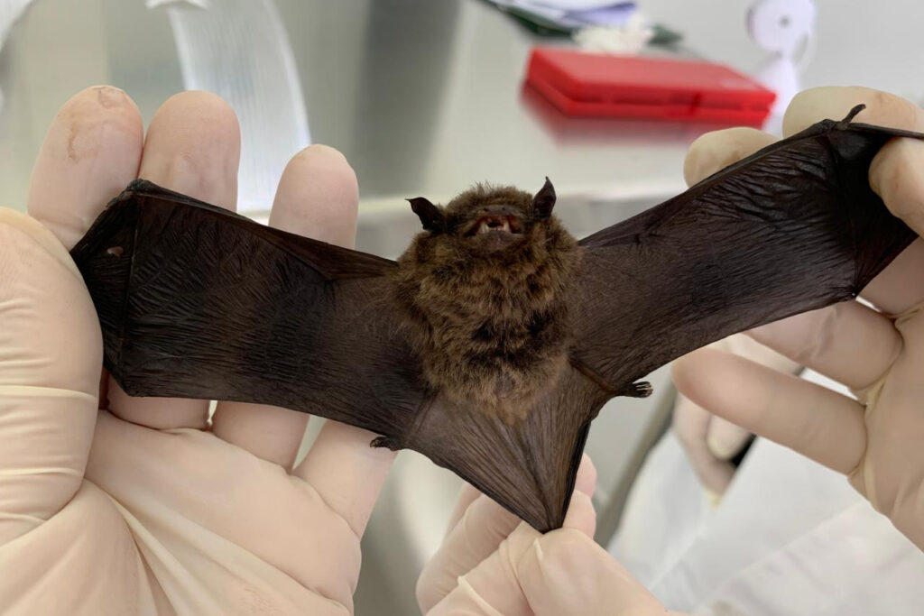 39215752-dfab-4cb7-9f81-2fba26631c71