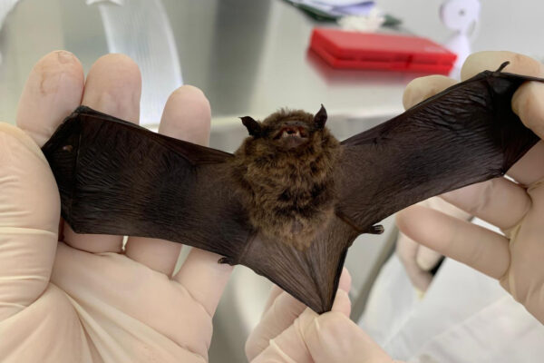 39215752-dfab-4cb7-9f81-2fba26631c71