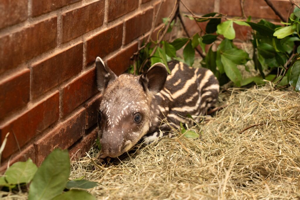 Refúgio Biológico da Itaipu