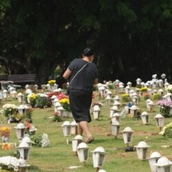Cães e gatos podem ser sepultados em jazigos familiares em São Paulo