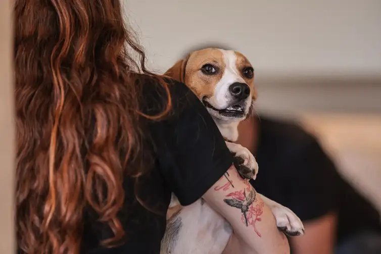 Paulo Pinto/Agência Brasil São Paulo (SP), 30/01/2026 - Adoção de Pets na Casa Adote na Vila Madalena em parceria com o Instituto Ampara Animal e a ONG Encontrei um Amigo. Foto: Paulo Pinto/Agência Brasil