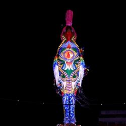 Galo Gigante homenageia Dom Helder Câmara, no Carnaval recifense